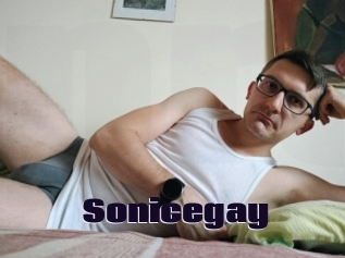 Sonicegay