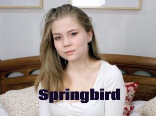 Springbird