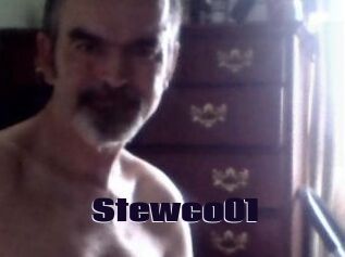 Stewco01