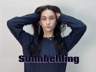 Sunnbelding