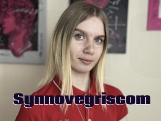 Synnovegriscom