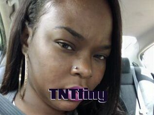 T_N_Ttiny