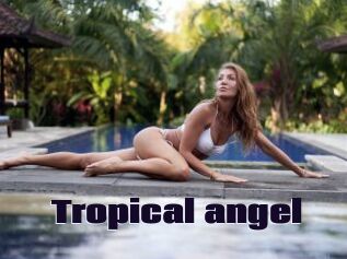Tropical_angel