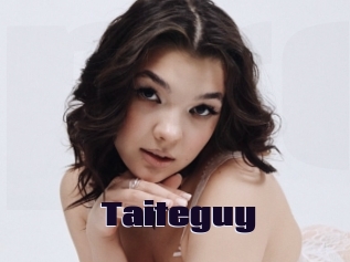 Taiteguy