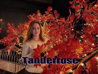 Tanderrose