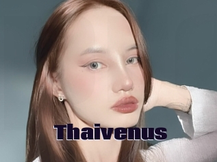 Thaivenus