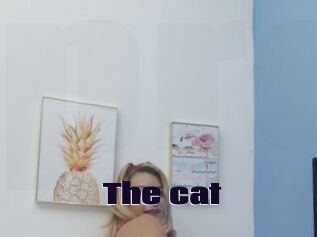 The_cat