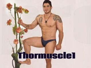 thormuscle1 Prolap Sex
