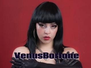 VenusBortone