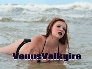 VenusValkyire