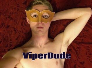 ViperDude