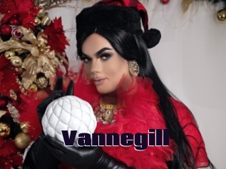 Vannegill