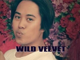 WILD_VELVET
