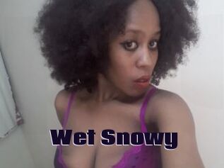 Wet_Snowy