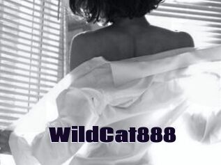 WildCat888