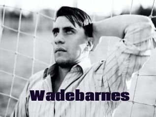 Wadebarnes