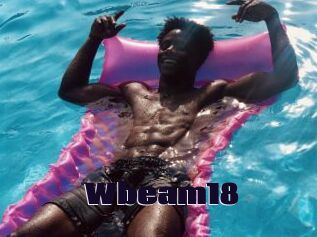 Wbeam18