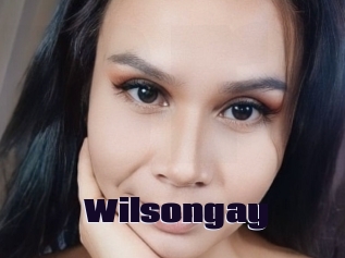 Wilsongay