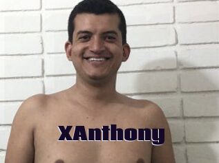 XAnthony