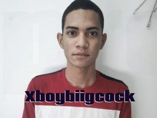 Xboybiigcock