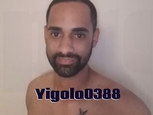 Yigolo0388