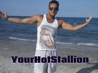 YourHotStallion