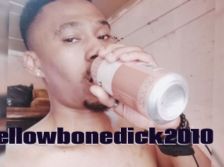 Yellowbonedick2010