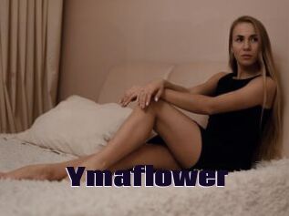Ymaflower