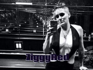 ZiggyRed