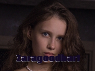 Zaragoodhart