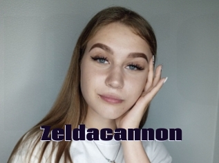 Zeldacannon